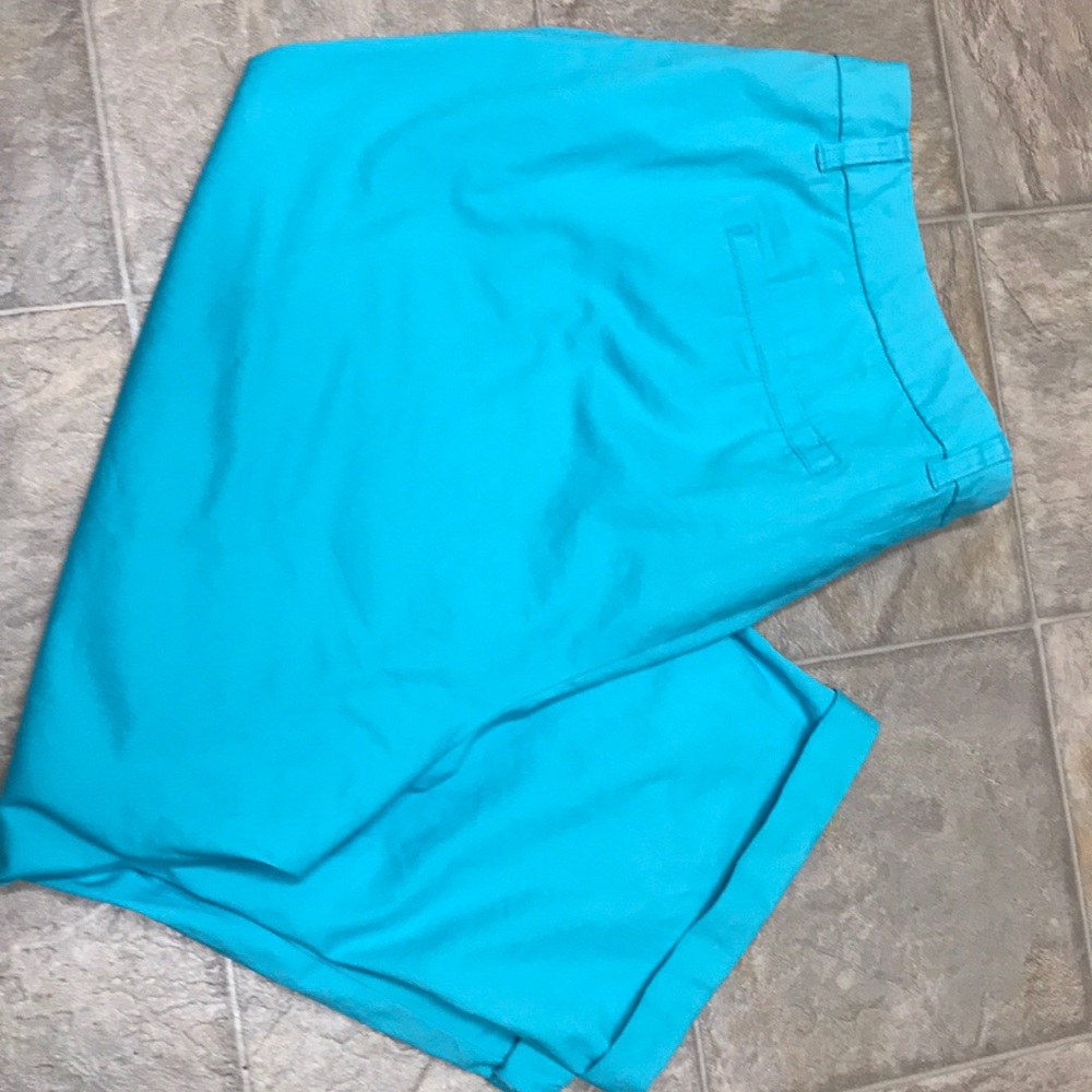 Lane Bryant capris 20. Aquamarine/ turquoise. NWOT.